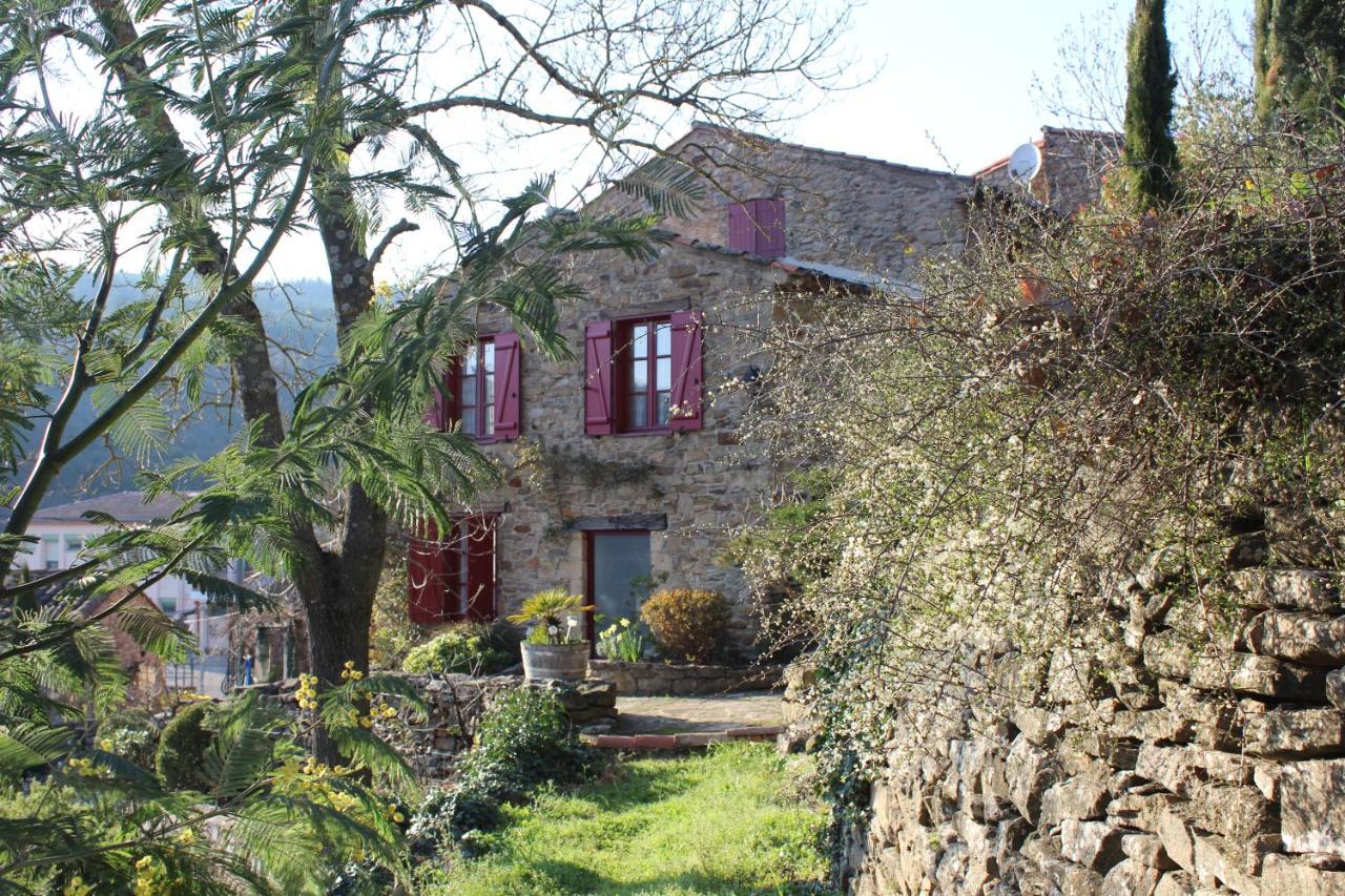Ferienwohnung Le Pailler De La Planque Camplong Exterior foto
