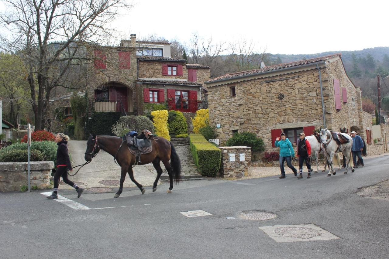 Ferienwohnung Le Pailler De La Planque Camplong Exterior foto